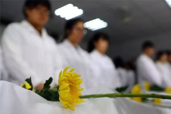 说明:https://mmbiz.qpic.cn/mmbiz_jpg/uYQH1LvBibib9nCLAGFWsYAPmH9o9kKATZoXqpcI8Th3SrE9PzI5s1DFn6K3iaHL0z6fvoUCd0CpAQVGjCpZmGyYA/640?wx_fmt=jpeg